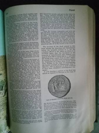 Diccionario Ilustrado de la Biblia de Davis - $763471308994689123