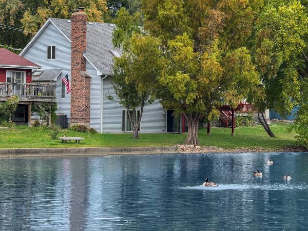 $495,000 / 4br - 4 Bedroom 3.5 bath lakefront walkout (Lake in the hills)64041643635841122