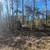 90' X 30' Lot For Sale - Coldspring TX Rural - Utilities - Mobile Home 5 thumbnail