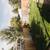 Master bedroom with mountain view for rent (month to month available) 16 thumbnail