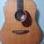 Breedlove AD20/M with Hard Case 3 thumbnail