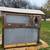 Root and Roost Chicken Coop with 2 Blue Orpingtons 3 thumbnail