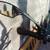Excellent Himiway Zebra Ebike with accessories 7 thumbnail