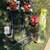 Leaf Blowers 1 thumbnail