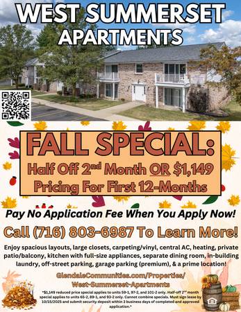 $1,149 / 1br - 1-Bed Apt With Amenities & Great Location / West Summerset Apartments (Amherst)63925204493186120
