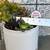 succulent plant arrangement in white ceramic planter 4 thumbnail