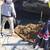 PLUMBING AFFORDABLE PRICE CALL NOW 4 thumbnail