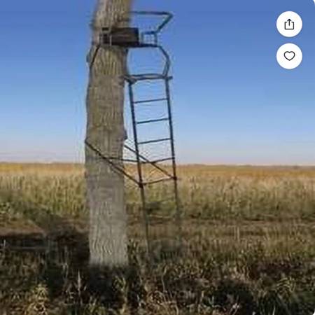 Muddy ladder stand 1