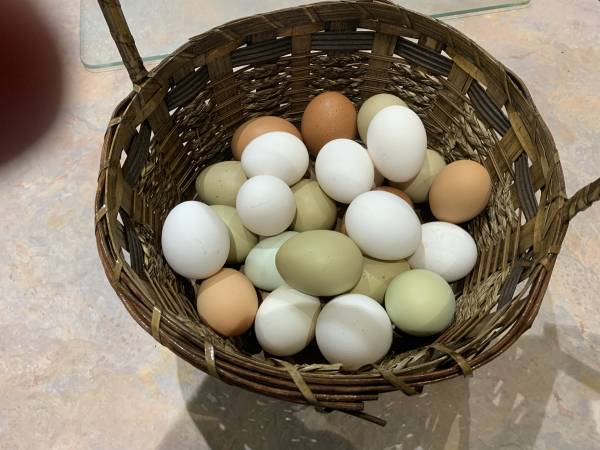 Farm Fesh Eggs 1
