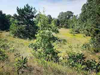 $2200.00 / 3br - 1300ft2 - 3 bed, 1 bath House in Traverse City64037723979906124