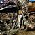 Harley davidson 13 thumbnail