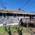 Well maintained 4BR 2BA home in Blaine -- coming late Oct or 1st of No 3 thumbnail