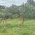 Round hat bale feeding rings. (2) 3 thumbnail