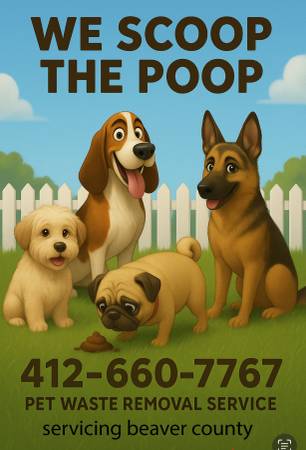 Dog waste removal and disposal service 1