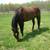 STUDIO FURNISHED; NO LEASE,INCLUDES ELECTRIC, 10 ACRE FARM UNIQUE 12 thumbnail