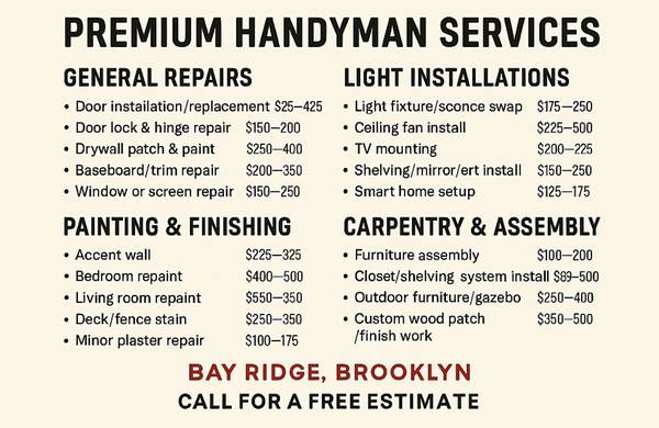 Young Repairs/Painting/Carpentry/Furniture assembly/etc 1