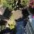Landscape, gardening, yard clean up, tree pruning 2 thumbnail