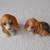 Beagle / Basset Hound Figurines (Set of 2) 2 thumbnail