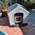 Outdoor Insulated Cat / Dog House on Dolly with Flip Entry! 2 thumbnail