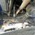 2024 Ram 3500 Laramie (8’ box) - private sale 14 thumbnail