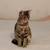 Friendly cat for sale 5 thumbnail