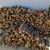 firewood delivery 1 thumbnail