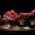 PROFESSIONAL HOLIDAY/CHRISTMAS LIGHTS INSTALLATION,     (201) 286-3011 2 thumbnail