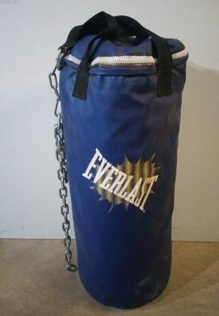 Everlast boxing bag 50lb with hanging chain 1