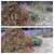 NEED WORK PLEASE.... YARDWORK, WASH VEHICLES OR ANYTHING 14 thumbnail