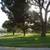 Rose Hills Single Plots (2) 3 thumbnail