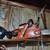 Chainsaws and blower 1 thumbnail