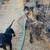 Little pups 1 thumbnail