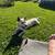 Dog 2 thumbnail