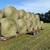 Beautiful soft 2nd cutting grass/clover round bales of hay(1100lbs) 1 thumbnail