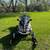 2024 Polaris Voyageur 550 adventure 2 thumbnail