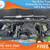 $505/mo - 2017 Jeep Wrangler Unlimited Rubicon 4x4SUV 4 x 4 SUV 4-x-4- 8 thumbnail