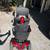 Pride Mobility GoGo Sport 4wh 1 thumbnail