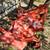 60" Befco Cyclone 3-Point Rear Discharge Grooming Mower 1 thumbnail