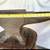 Antique Hay-Budden Blacksmith Iron Anvil 175-190 Lbs Mounted on Stump 10 thumbnail