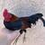 Rooster 1 thumbnail