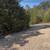Land FOR SALE ARKANSAS TROPHY LOT | PRIVATE CORNER LOT Owner Finance 4 thumbnail