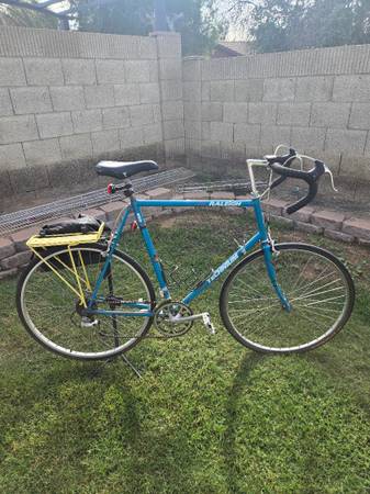 Raleigh Technium 450 1