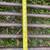 7/8 thick 6' grapple skeleton rock bucket skid steer newcylinder/hoses 5 thumbnail