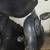 Schwinn Sports Gym bike bicycle 3 thumbnail
