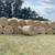 2026 4x5 1000lb round bales 1 thumbnail