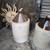 Crocks stoneware jugs 4 thumbnail