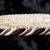 Italian Long 7" black drapery & upholstery fringe trim with beads 9 thumbnail