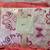 Coral Twin Goose Down Box Quilt/Pottery Barn Duvet 1 thumbnail