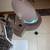 Magnifying Lamp 5 Diopter 5 thumbnail