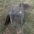 Rabbit enclosure 2 thumbnail